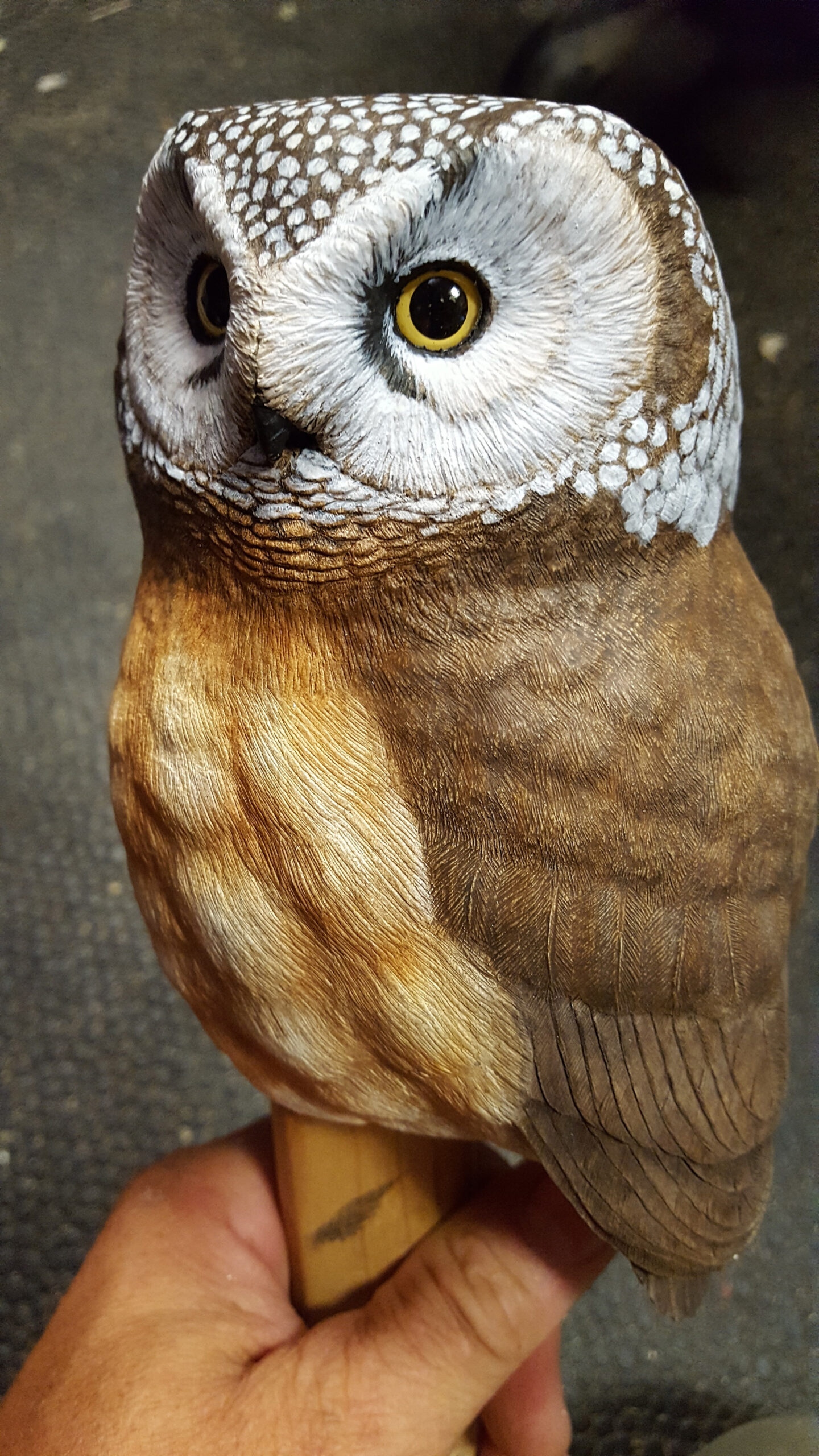 Boreal Owl | Wildlife Sculpting