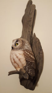 Completed wall mount boreal owl