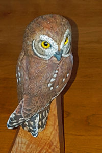Owl, elf owl, birds, wood carving, sculputure, fine art,
