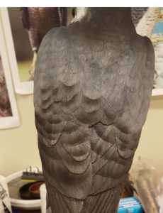 wood carving, wood sculpting, peregrine falcon, wildlife art, raptors, birds of prey