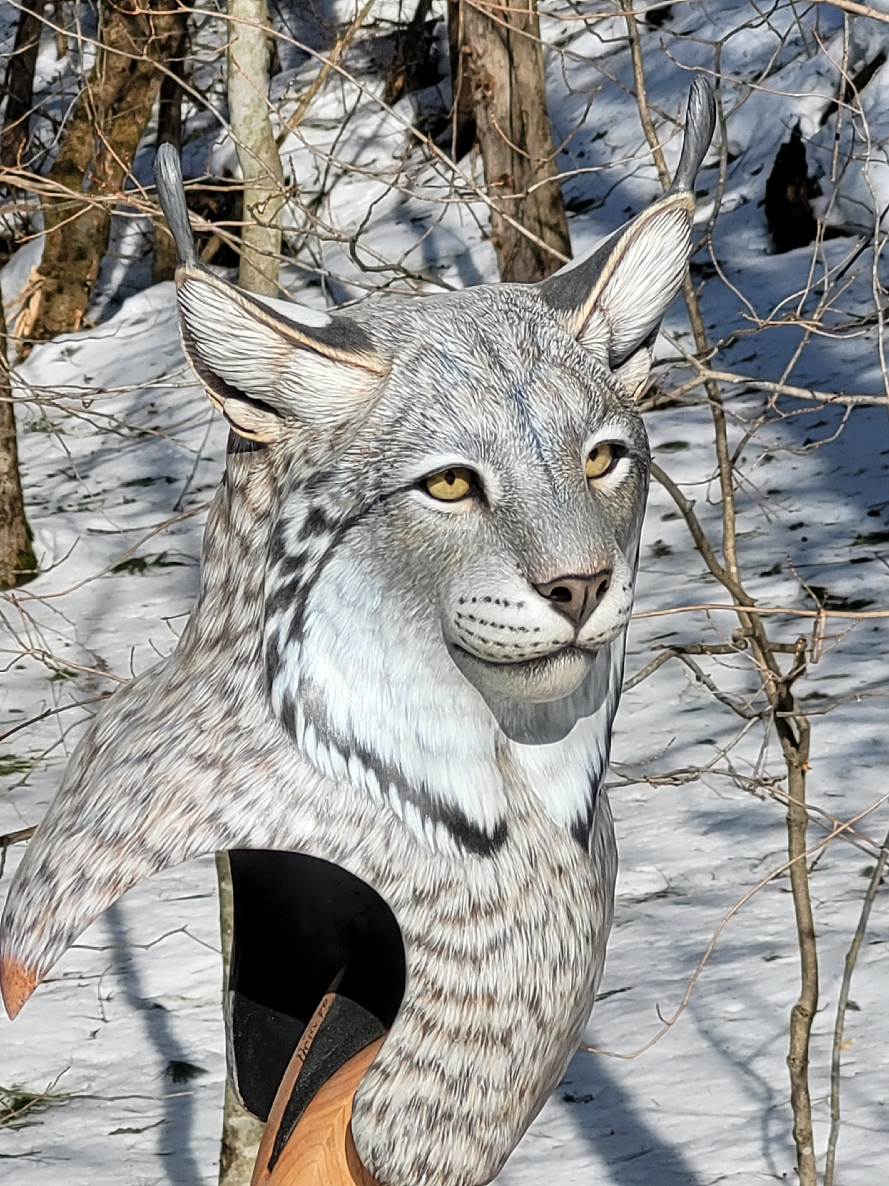 Canada Lynx