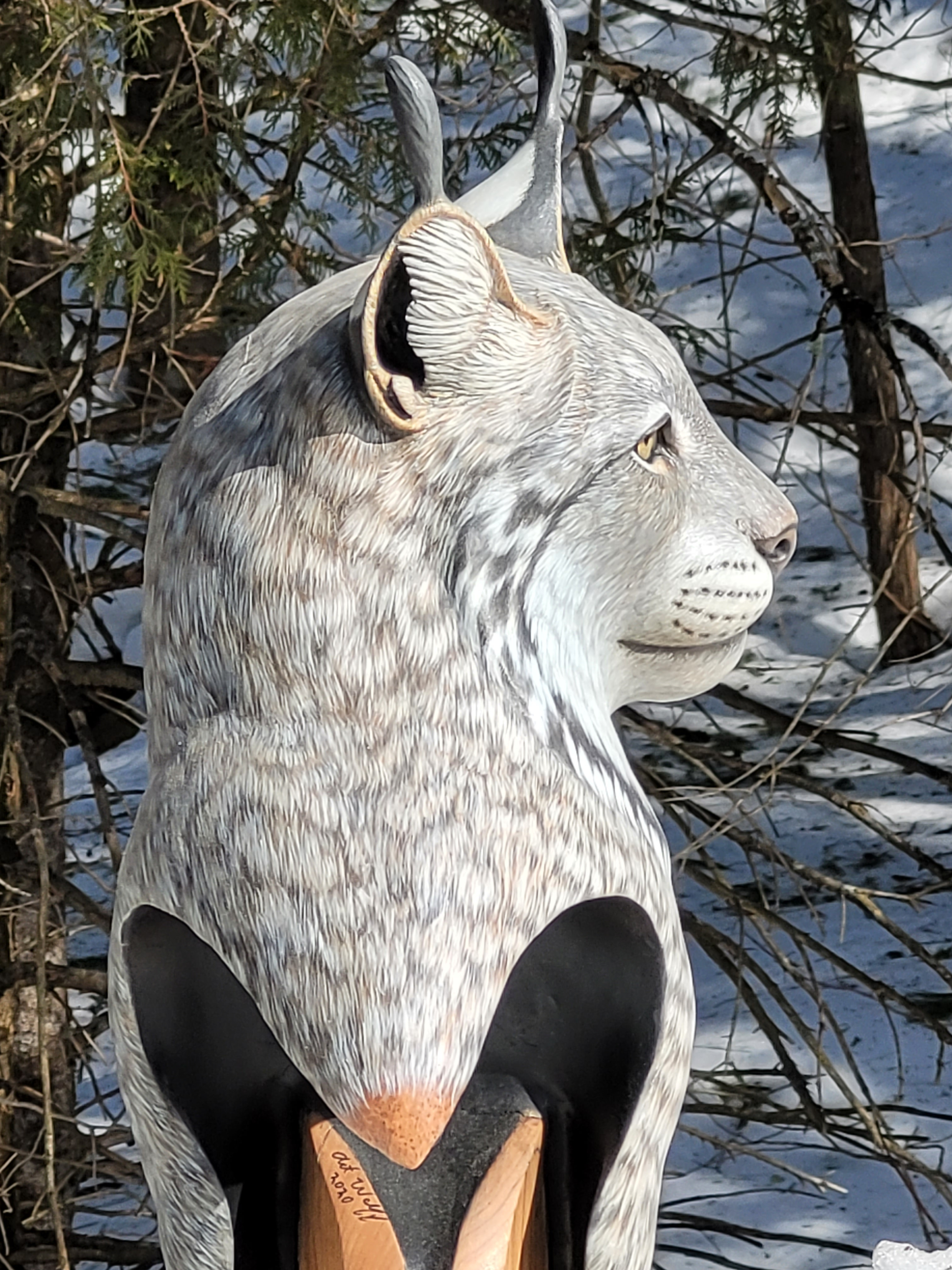 Canada Lynx