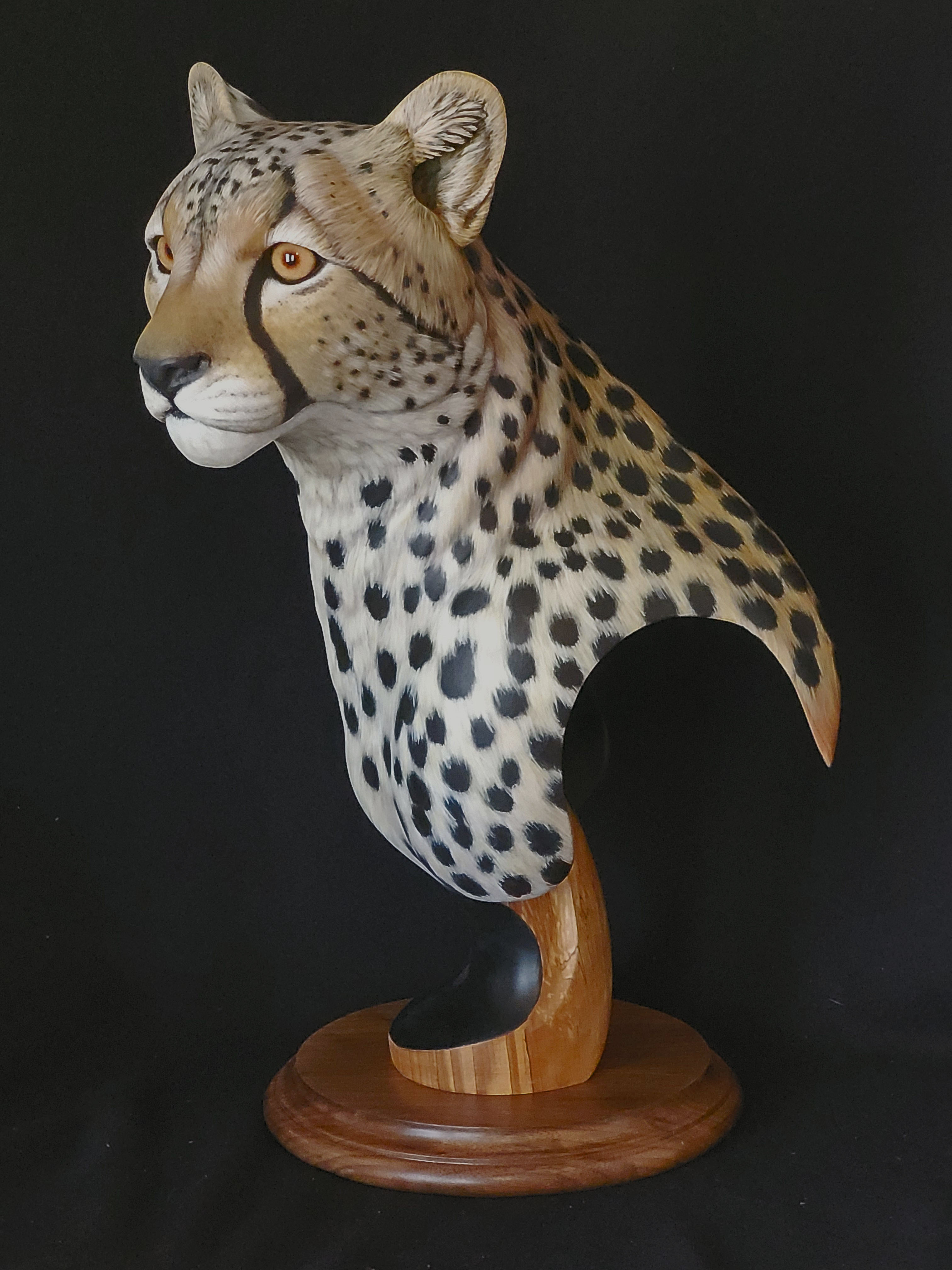 Cheetah