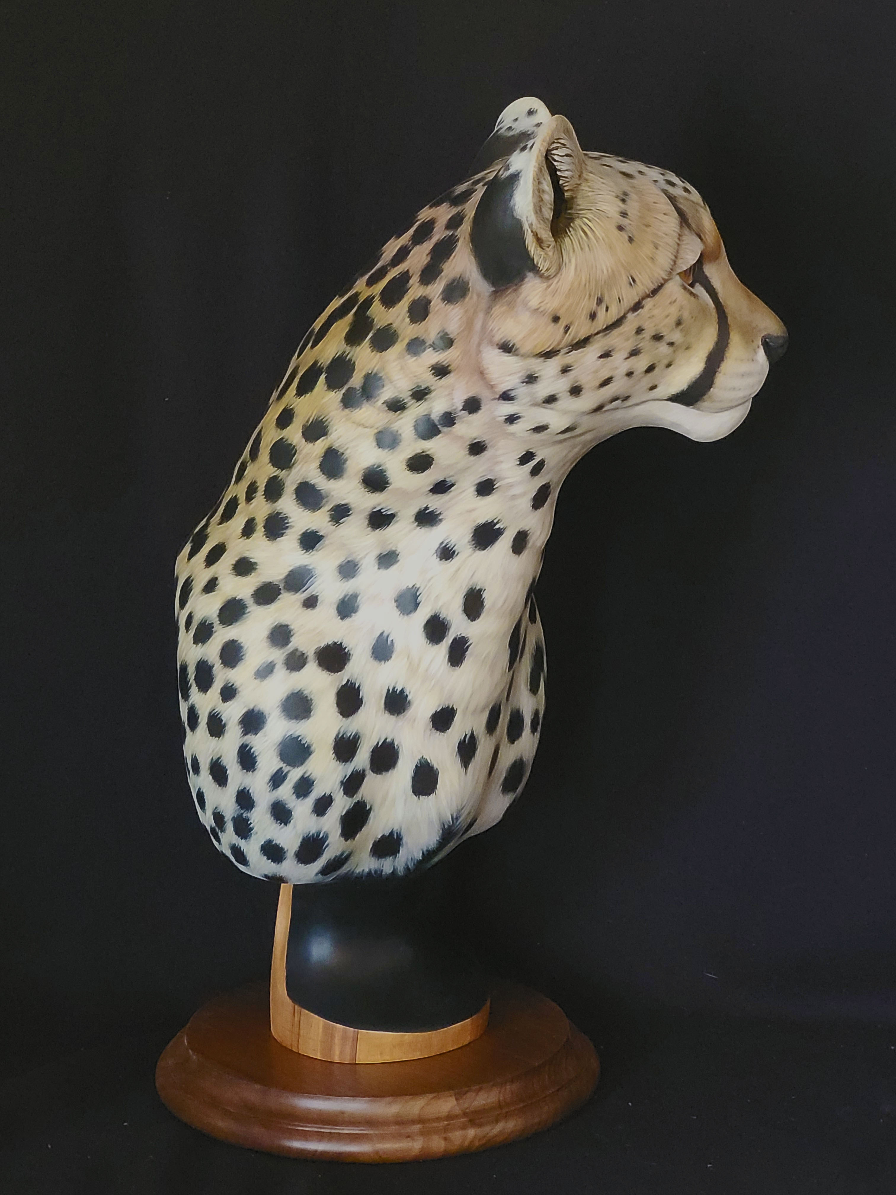Cheetah