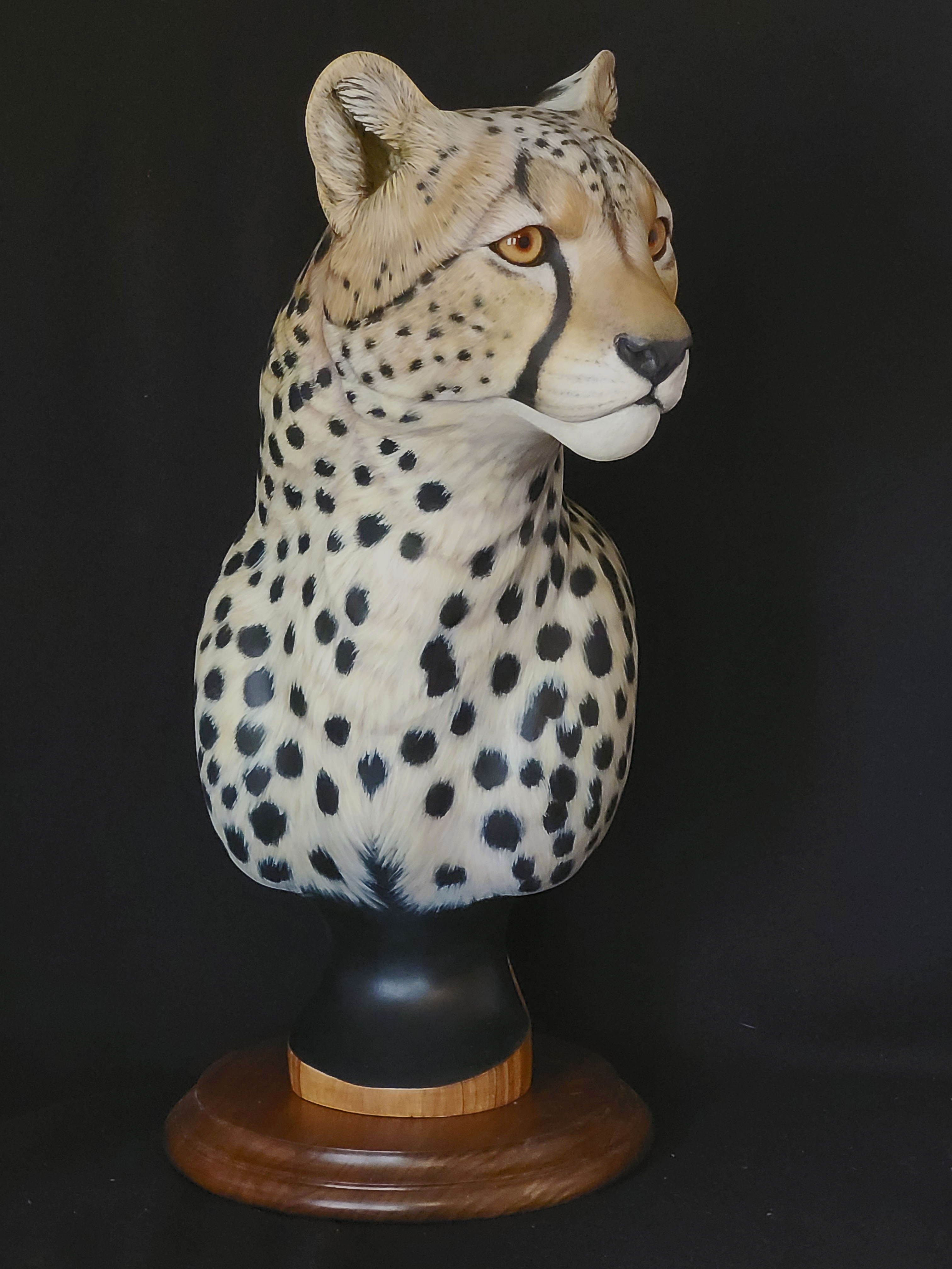 Cheetah