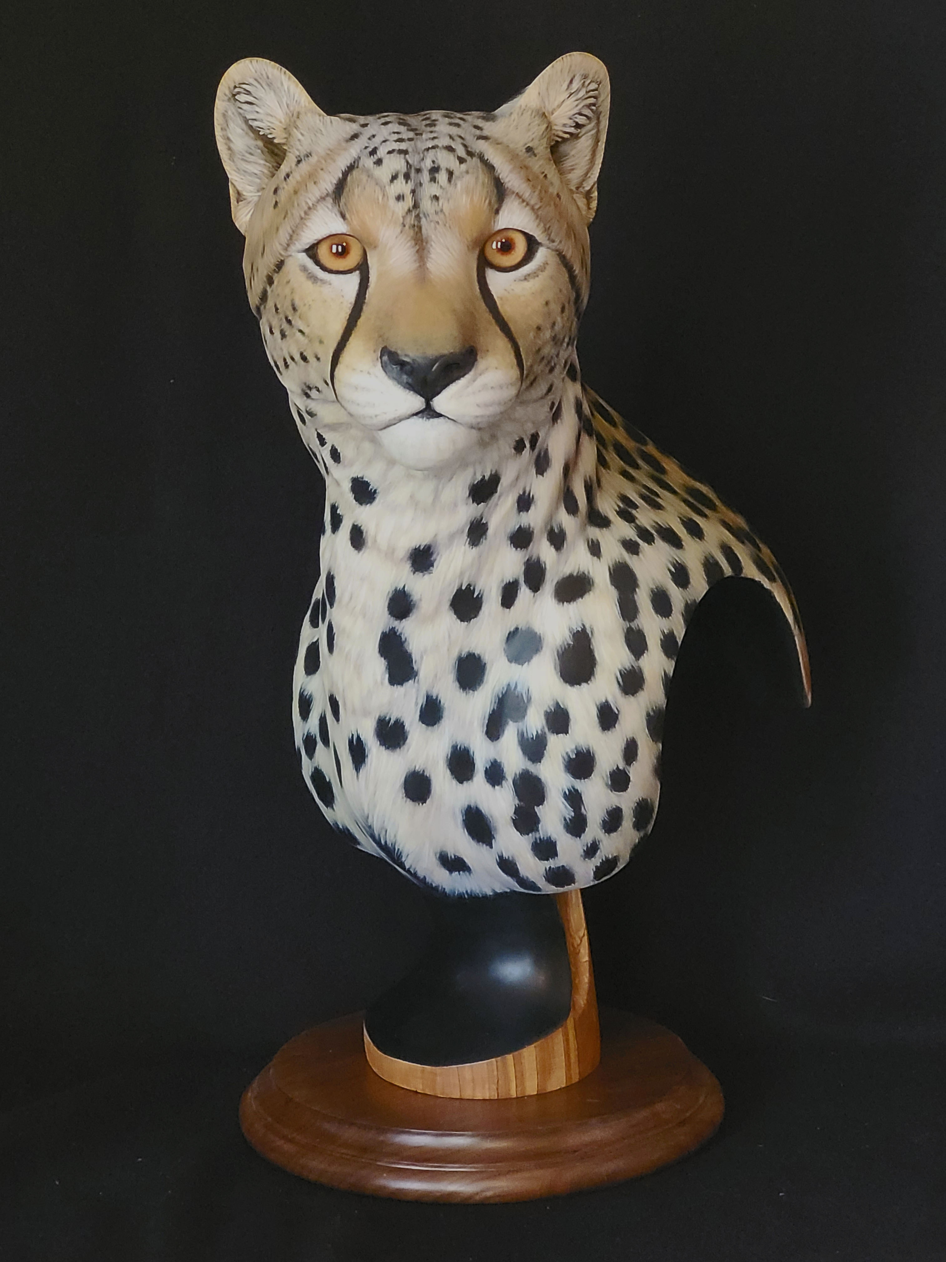 Cheetah