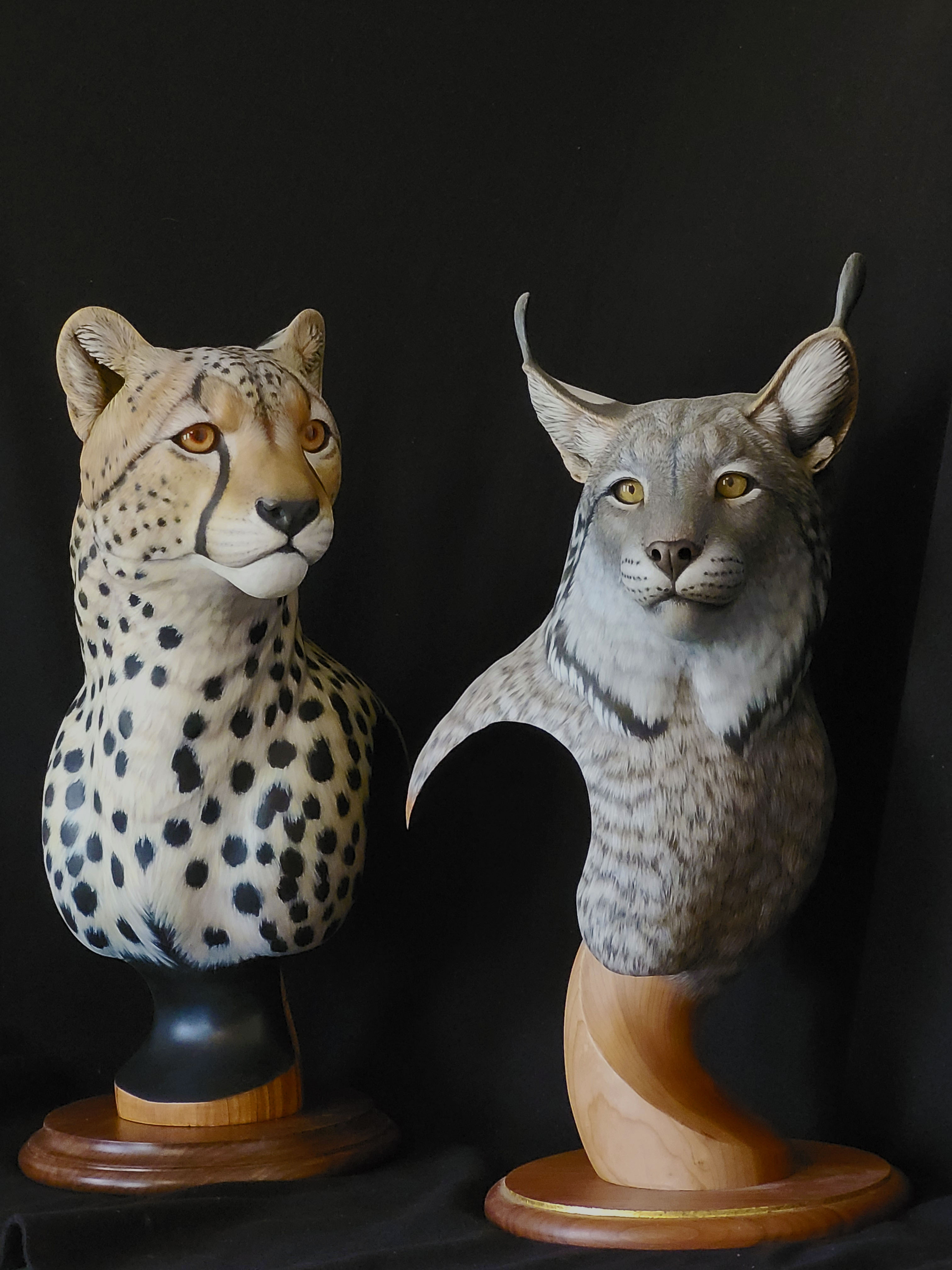 Cheeta and Lynx