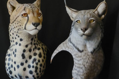 Cheeta and Lynx